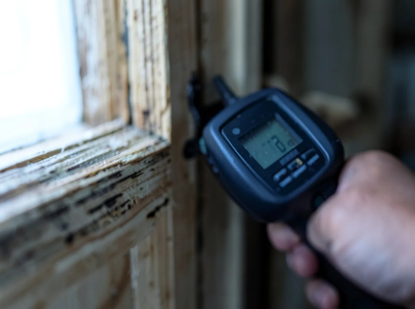 Moisture Inspection And Documentation in Jonesville, LA